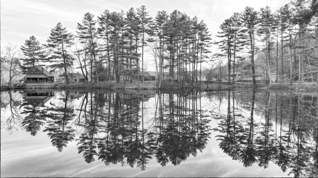 Lake Reflection  BW DSC_4650