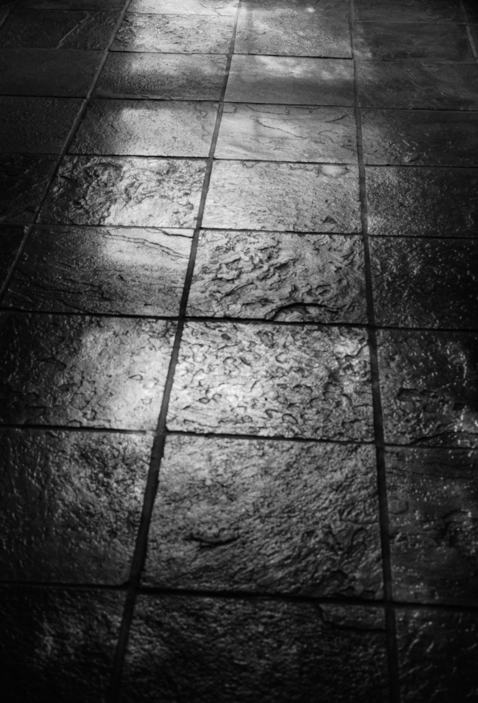 Floor Shadow BW 2 L1002804