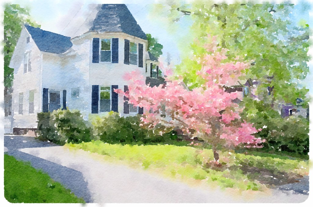 Waterlogue by Tinrocket 1.0.8 Windows Preset Style = Natural Output Size = Giant Lightness = Darker