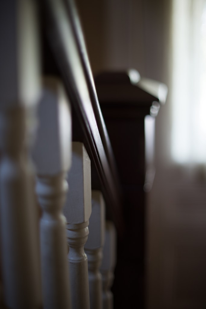 Railings_DSC7294