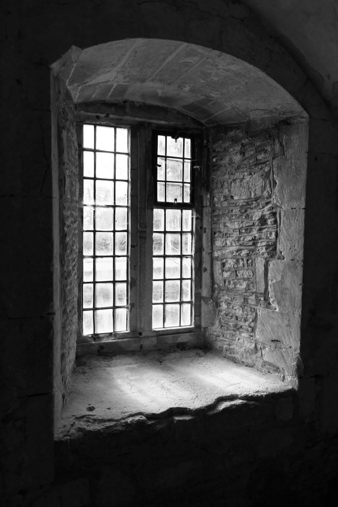 Window_DSC5659-1