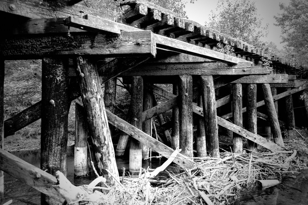 distressed-bridge_dsc8542-copy-1