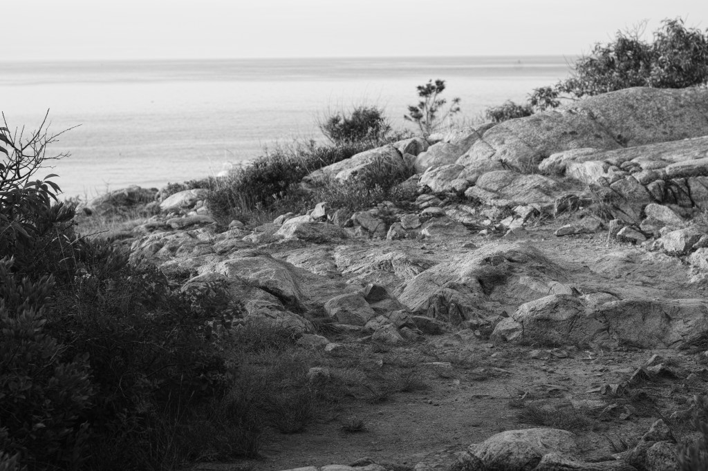 rocks-in-rockport_sdi2832