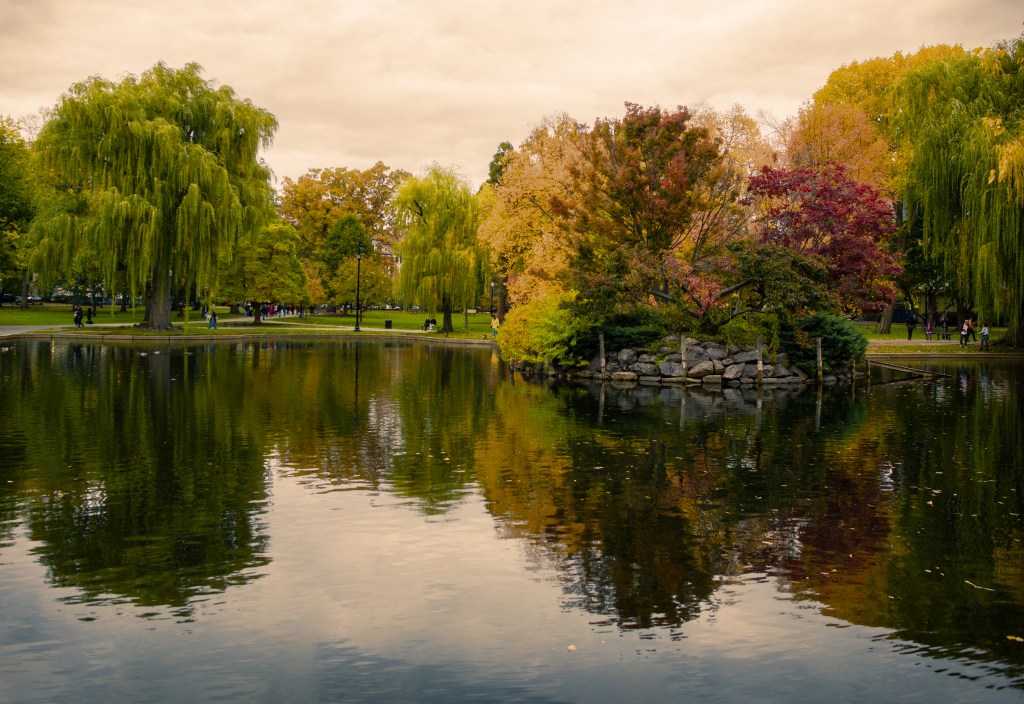 boston-common-painting_dsc9282-1