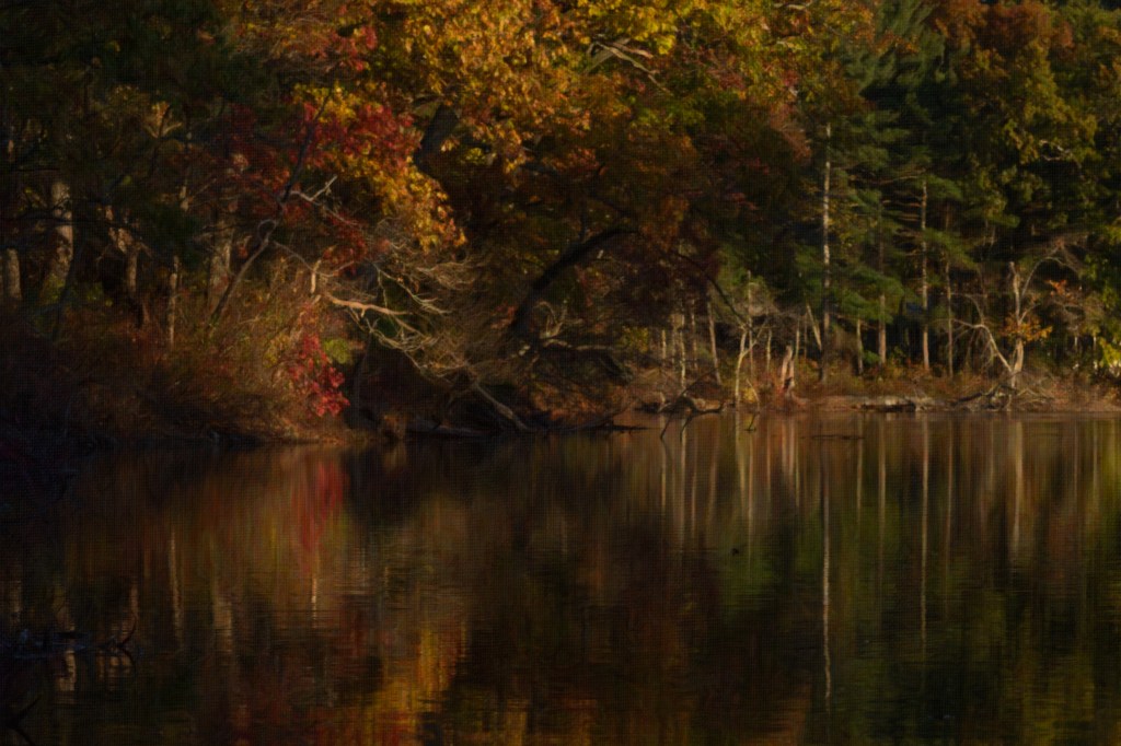 fall-reflection-8-x12-arty-2_dsc9265-1