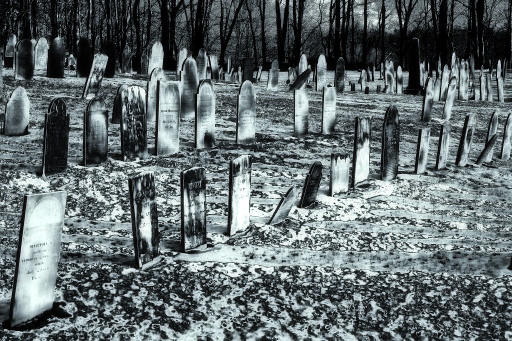 graves-berlin-3_sdi3166