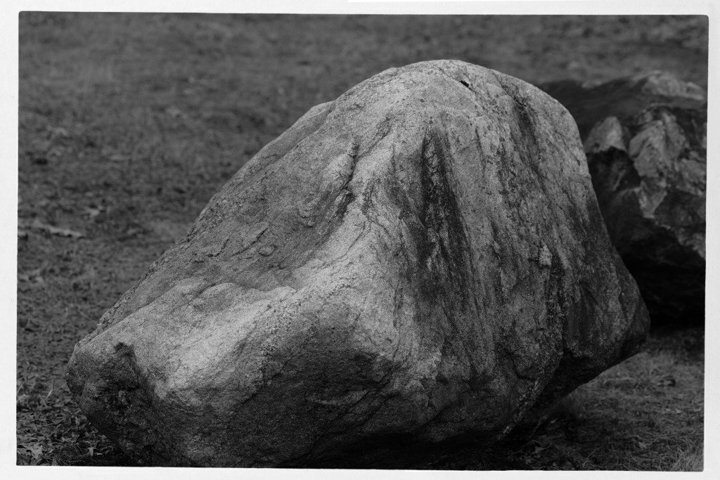 rock_shaggy-dog-bw-1-dsc0755-1