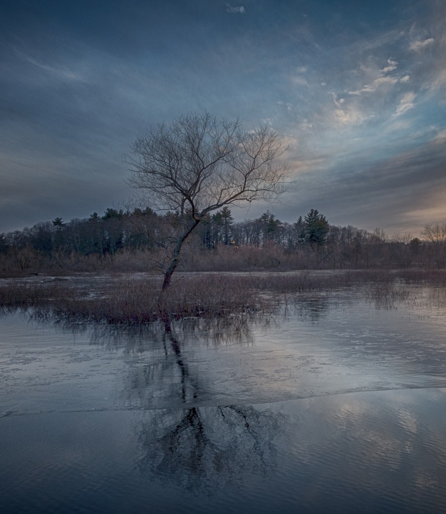 winter-scene-square-l1003772-1