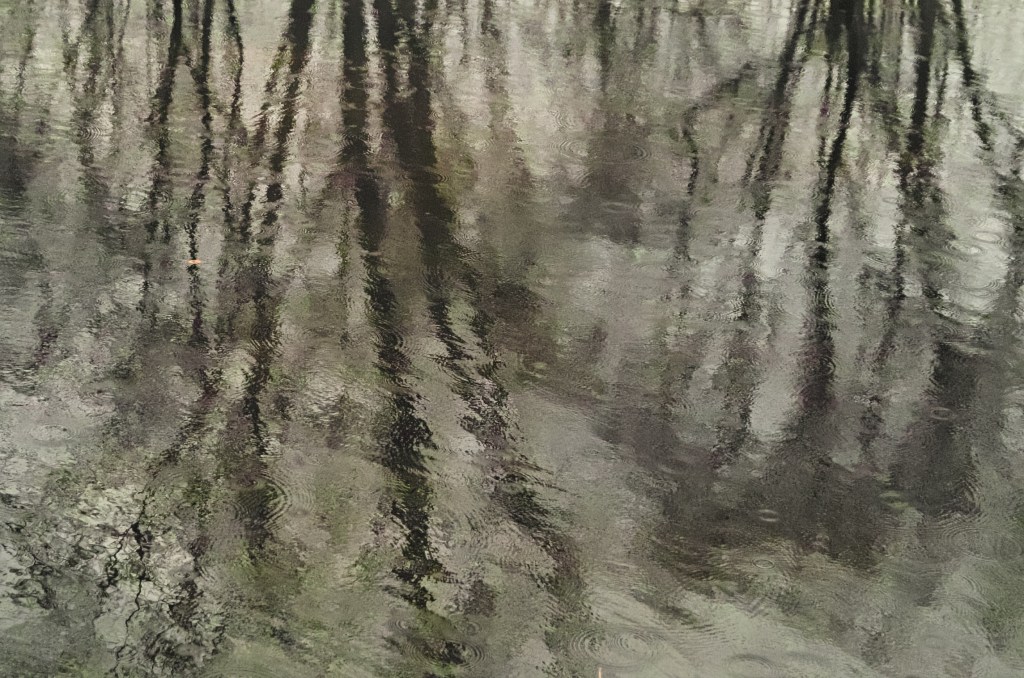 reflection-1600-sdim3147